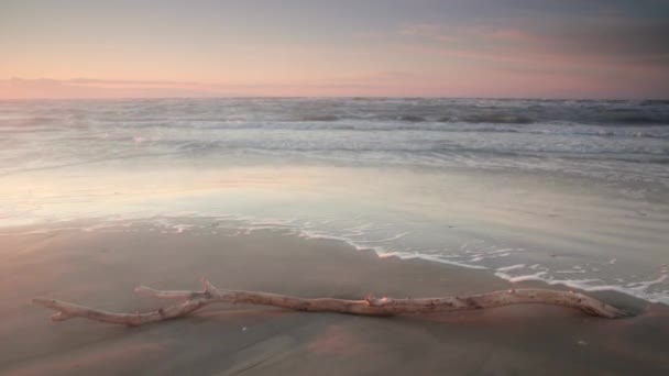 Tramonto Una Spiaggia Sabbia Con Ramo Albero Barletta Italia — Video Stock