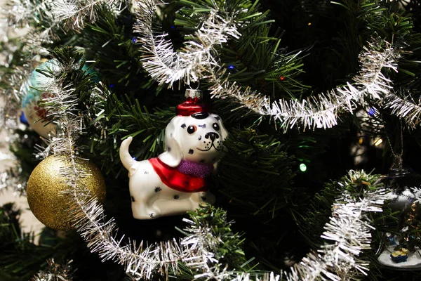 Świąteczne tło i bożonarodzeniowe kulki. Szkło świąteczne dla psa. — Zdjęcie stockowe