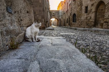 Ortaçağ Avenue Şövalyeler, Rhodes, Yunanistan