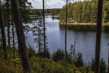 Finlandiya 'da binlerce gölün olduğu bölgede güzel bir bitiş manzarası çekilmiştir..