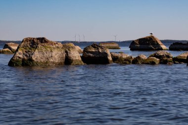 Orman göl sularının üzerindeki taşların üzerinde. Kotka, Finlandiya.