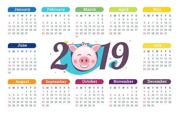 Varken Kalender Voor 2019 Schattig Maandkalender Met Grappig Varken Week — Stockvector