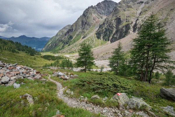 Vandringsled Vid Gradental Mountain Panorama Nationalpark Hohe Tauern Med Utsikt — Stockfoto