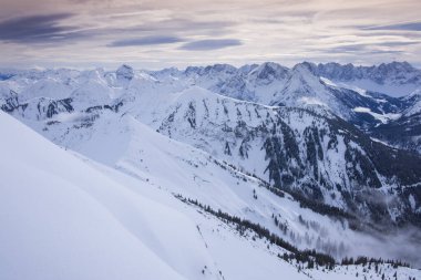 Schafreiter 'deki Karwendel dağlarında kış manzarası, sis, kar ve ormanla