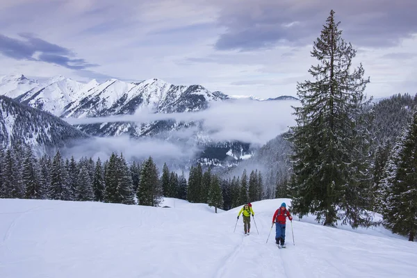 Skidtursgrupp Bergen Karwendel Klättrar Bergstoppen Schafreiter Skidor Två Män Med — Stockfoto