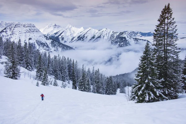 Karwendelの山の中で男のスキーツアー スキーで山のピークSchediatorを登ります 山の景色の真ん中に — ストック写真