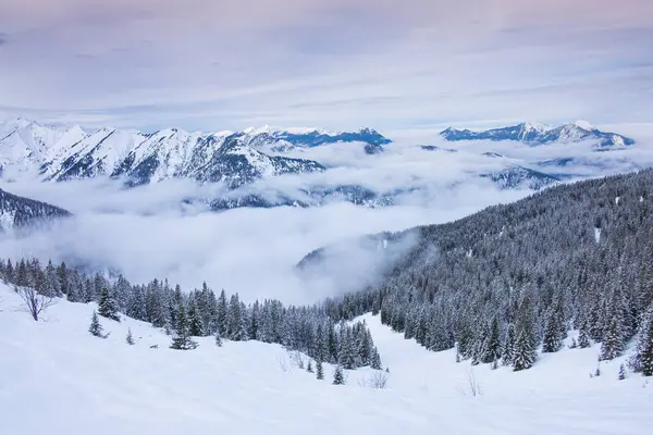 Vinterpanorama Landskap Karwendel Bergen Vid Schafreiter Med Dimma Snö Och — Stockfoto