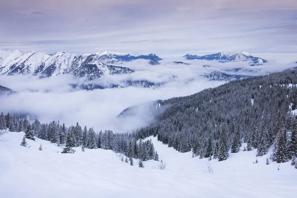 Vinterpanorama Landskap Karwendel Bergen Vid Schafreiter Med Dimma Snö Och — Stockfoto