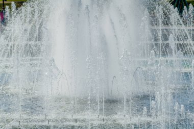 Ünlü Rezerv Müzesi ve Tsaritsyno parkı. Moskova. Rusya