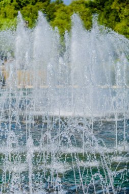 Ünlü Rezerv Müzesi ve Tsaritsyno parkı. Moskova. Rusya