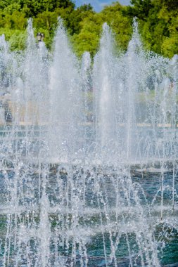 Ünlü Rezerv Müzesi ve Tsaritsyno parkı. Moskova. Rusya