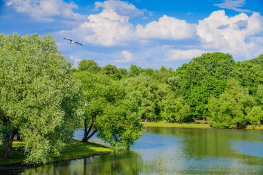 Ünlü Rezerv Müzesi ve Tsaritsyno parkı. Moskova. Rusya