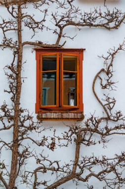 Hallstatt şaşırtıcı güzel Avusturya dağ köyü. Aus