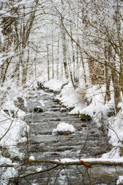 Zell See gölü yakınında kısık buz ve sincap ile Manzara.