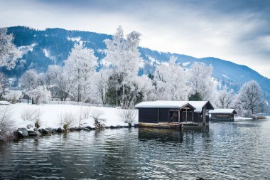Zell S gölü yakınındaki dallarda hoarfrost ile Peyzaj