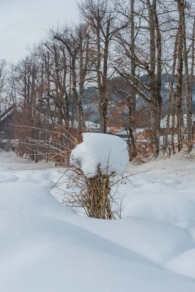 Gosauské údolí v ranní mlze. Gosau. Rakousko. — Stock fotografie