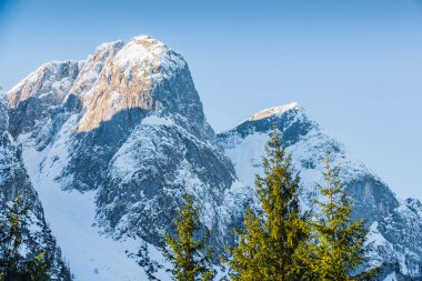 Vorderer Gosausee Gölü yakınlarındaki kış manzarası. Austr
