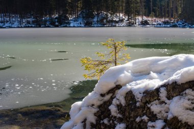 Hintersee Gölü. Bavyera. Almanya