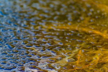 Hintersee Gölü kıyısında kabarık kar ile Makro Manzara.