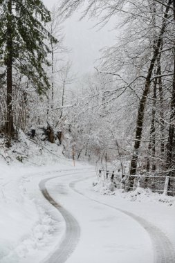 Bavyera Alplerinde kış. Almanya.