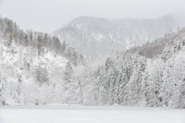 Bavyera Alplerinde kış. Almanya.
