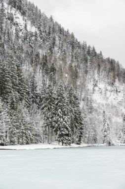 Bavyera Alplerinde kış. Almanya.