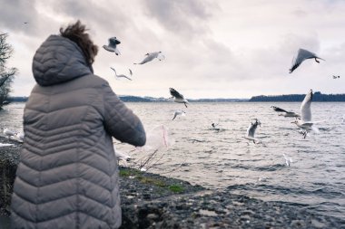 Chiemsee Gölü'ndeki parkta kışın doğa. Prien, Chiemsee'yi. Almanya