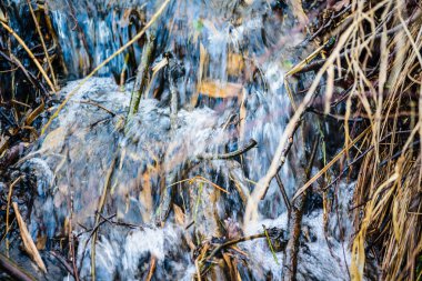 Chiemsee Gölü'ndeki parkta kışın doğa. Prien, Chiemsee'yi. Almanya
