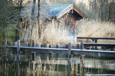 Nature in winter in the park on Lake Chiemsee. Prien am Chiemsee. Germany clipart