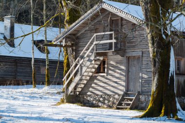 Doğa ve Konigssee Gölü yakınlarında skeçler. Bavyera. Almanya