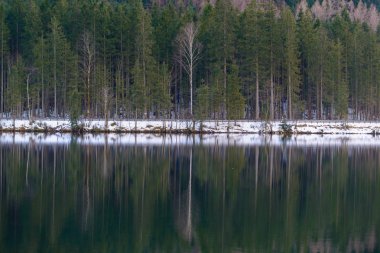 Hintersee Gölü. Bavyera. Almanya
