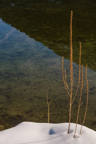 Jezioro Hintersee. Bawarii. Niemcy — Zdjęcie stockowe