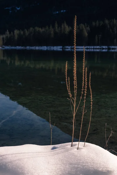 Jezero Hintersee. Bavorsku. Německo — Stock fotografie