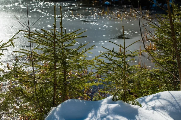 Jezero Hintersee. Bavorsku. Německo — Stock fotografie