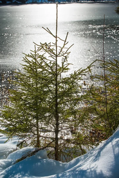 Jezioro Hintersee. Bawarii. Niemcy — Zdjęcie stockowe