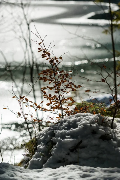 Lago Hintersee. Baviera. Alemanha — Fotografia de Stock