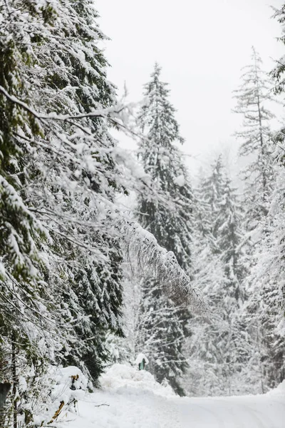 Zima Alpach Bawarskich Niemcy — Zdjęcie stockowe