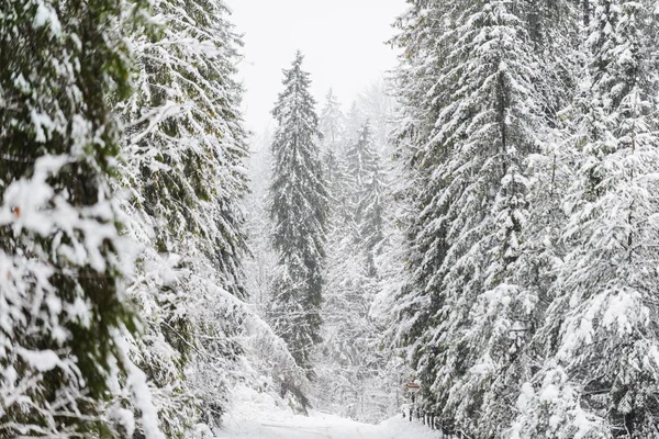Zima Alpach Bawarskich Niemcy — Zdjęcie stockowe