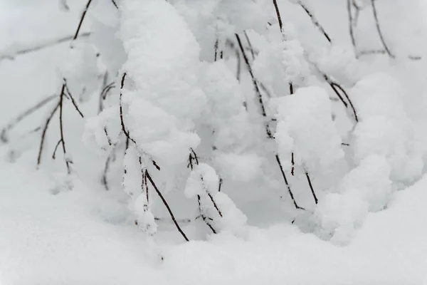 Winter Bavarian Alps Germany — ストック写真