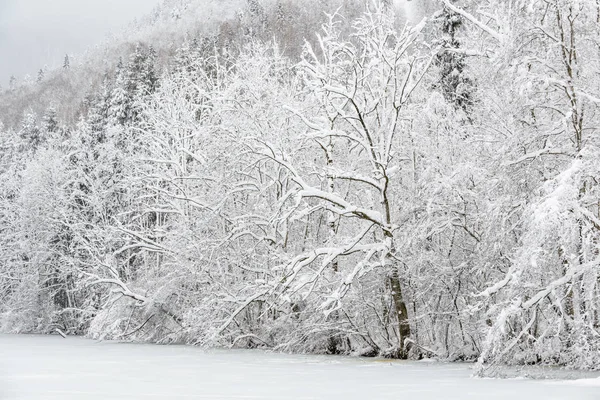 Χειμώνας Στις Βαυαρικές Άλπεις Γερμανία — Φωτογραφία Αρχείου