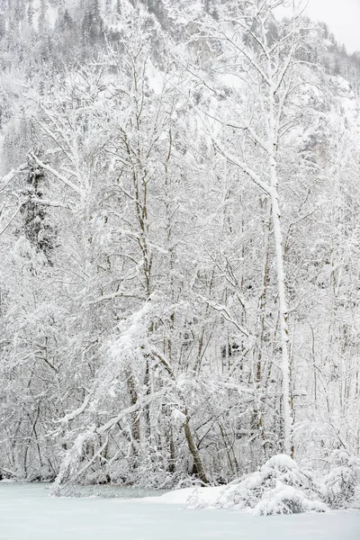 Zima Bavorských Alpách Německo — Stock fotografie