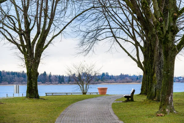 Naturaleza Invierno Parque Lago Chiemsee Prien Chiemsee Alemania —  Fotos de Stock