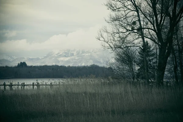 Natura Inverno Nel Parco Sul Lago Chiemsee Prien Chiemsee Paesi — Foto Stock
