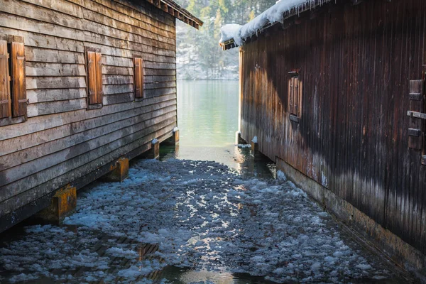 湖の近くの自然とスケッチ ババリア ドイツ — ストック写真