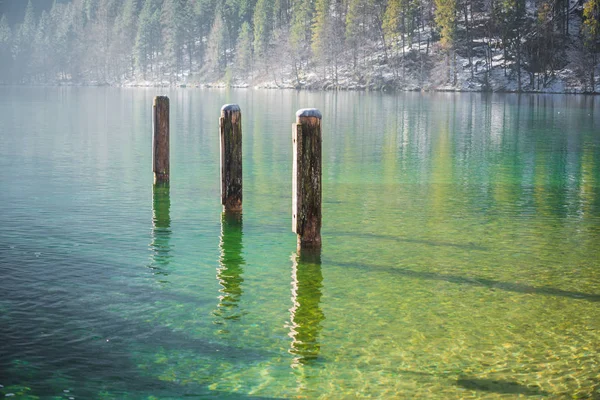 Nature and sketches near the lake Konigssee. Bavaria. Germany