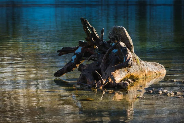 Naturaleza Bocetos Cerca Del Lago Konigssee Baviera Alemania — Foto de Stock