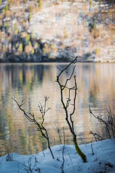 Naturaleza Bocetos Cerca Del Lago Konigssee Baviera Alemania — Foto de Stock