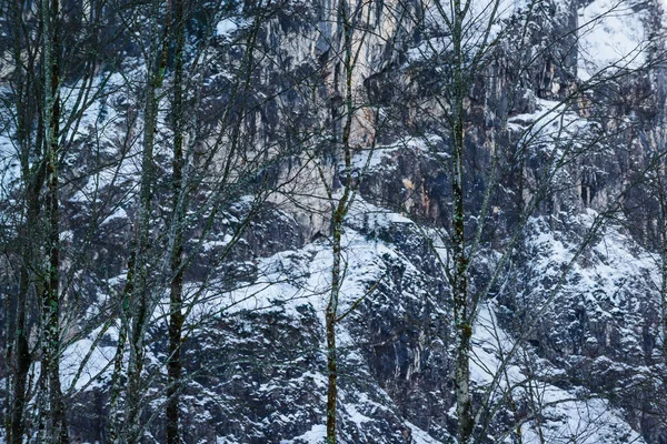 Nature and sketches near the lake Konigssee. Bavaria. Germany