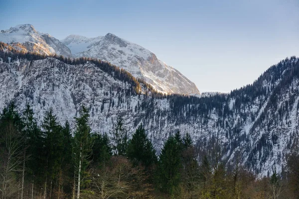 Natura Schizzi Vicino Lago Konigssee Baviera Paesi Bassi — Foto Stock