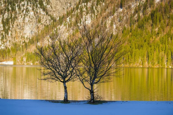 Natura Schizzi Vicino Lago Konigssee Baviera Paesi Bassi — Foto Stock